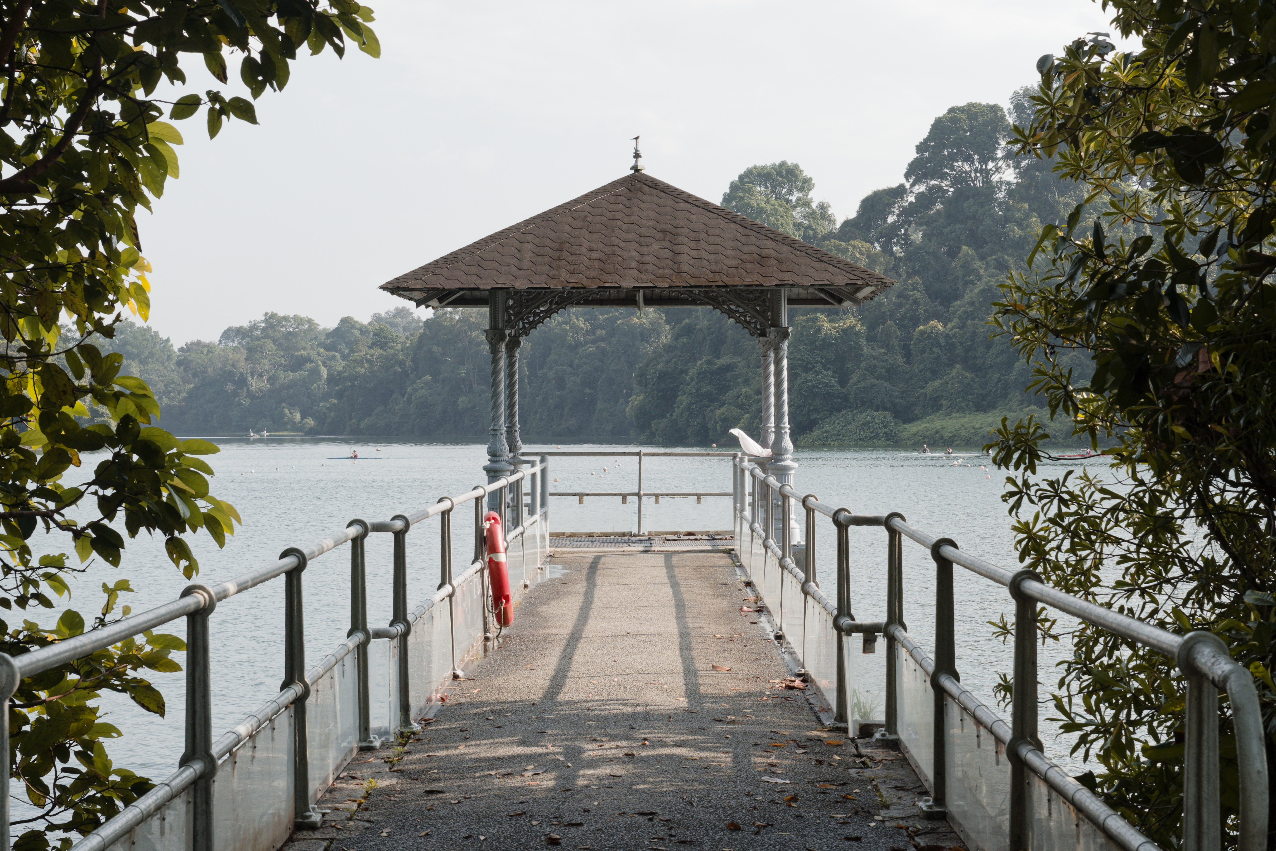 Pier at Macritchie