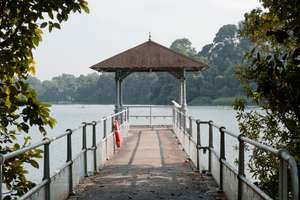 Pier at Macritchie